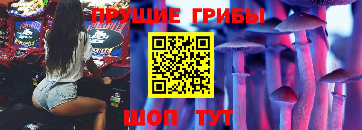 Галлюциногенные грибы прущие грибы  Галлюциногенные грибы MAGIC MUSHROOMS  Вход с VPN  Новоалтайск 